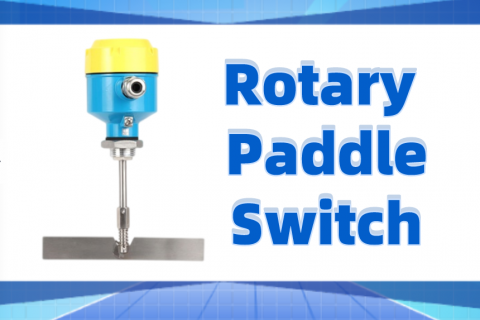 Limitations and Selection of Rotary Paddle Switch