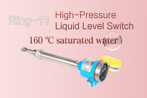 Jiwei Ring-11 High-Pressure Liquid Level Switches Widely Applied in No.3 Power Plant of Shanghai Waigaoqiao