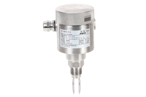 Ring-11 Liquid Level Switch with Stainless Steel Housing