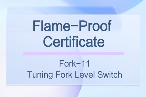 Flame-Proof Certificate of Fork-11 Tuning Fork Level Switch