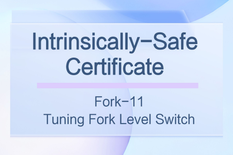 Intrinsically-Safe Certificate of Fork-11 Tuning Fork Level Switch