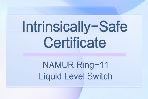 Intrinsically-Safe Certificate of NAMUR Ring-11 Liquid Level Switch