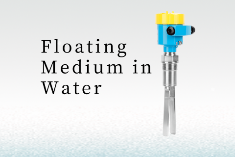 Application of Tuning Fork Level Switches in Measuring Floating Medium in Water