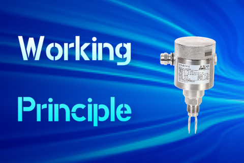 In-Depth Analysis of the Working Principle of Tuning Fork Level Switches