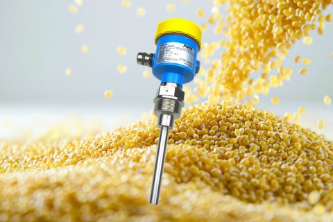 Wheat Level Measurement Case Study: Application of Tube-11 Vibrating Rod Level Switch with Emphasis on Dual Probe Advantages